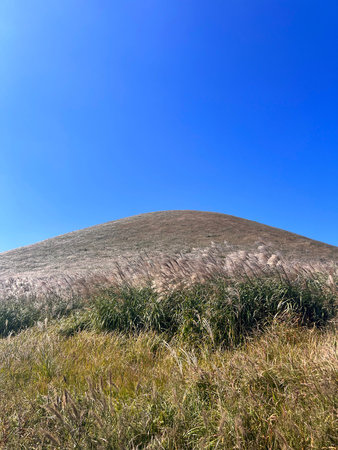 Meadow and blue sky in autumn, closeup of photo