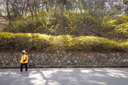 Young woman in yellow jacket walking on the road and looking at the flowersの写真素材