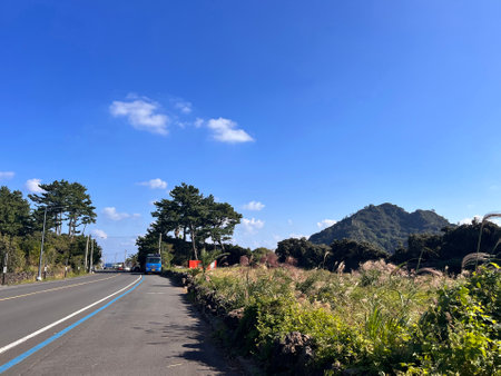 Road on the mountain with blue sky and white clouds, Taiwan.の写真素材