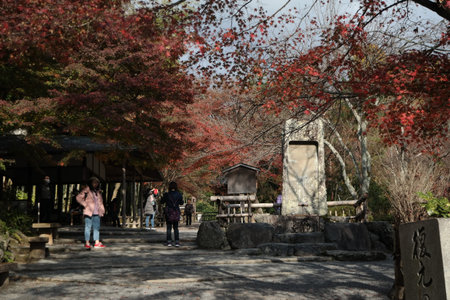 Unidentified people visit Shinto shrine in Kyoto, Japan