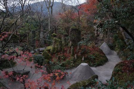 Autumn leaves and rocks in a Japanese garden in Kyoto, Japan