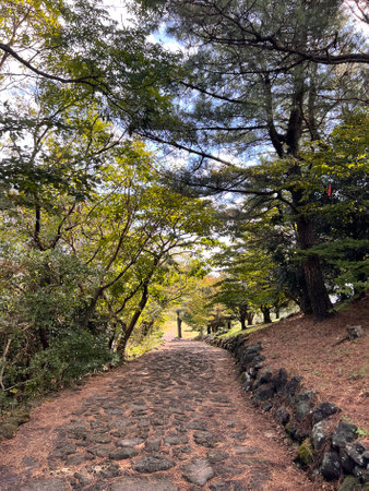 Hiking trail in the forest at Hualien, Taiwan.の写真素材