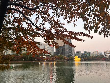 Autumn leaves and yellow rubber duck in a park in Seoul, South Korea