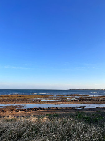 Seascape with sea and blue sky at low tide in summer.