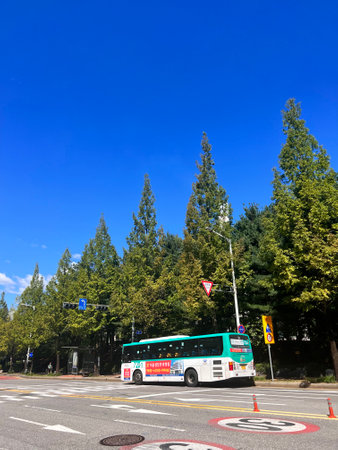 Bus on the road.の写真素材