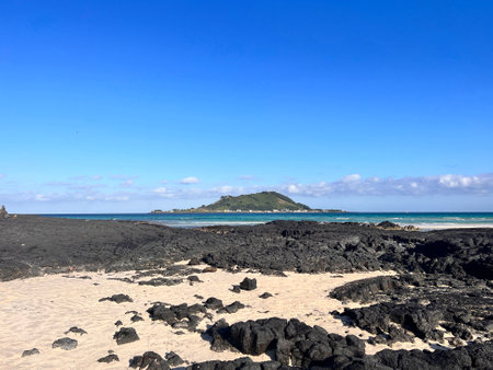 Tropical beach with white sand, turquoise water and blue skyの写真素材