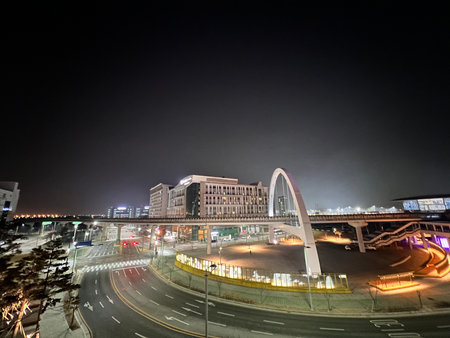 Night view of a bridge in Seoul, South Korea. Taken in August 2015.
