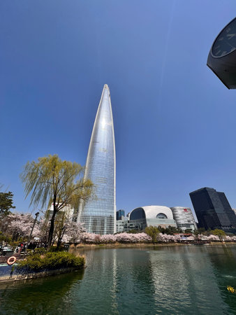 Shanghai world financial center skyscrapers and cherry blossom