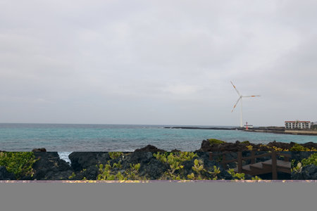 View of the beach and windmill in Tenerifeの写真素材