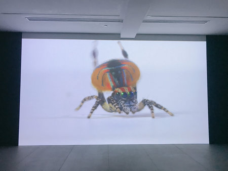 Exhibition of modern and contemporary art in Milan.