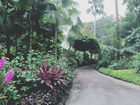 Beautiful tropical garden in the morning, Thailand. Vintage tone.の写真素材