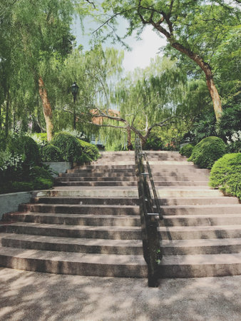 staircase in the park with tree and green grass - vintage filterの写真素材