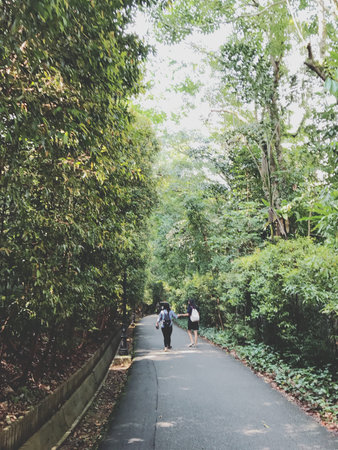 Couple walking on the road in the park. Travel concept.