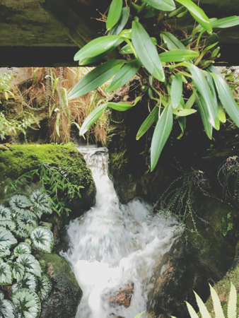 Waterfall in the garden with green plants and rocks, stock photoの写真素材