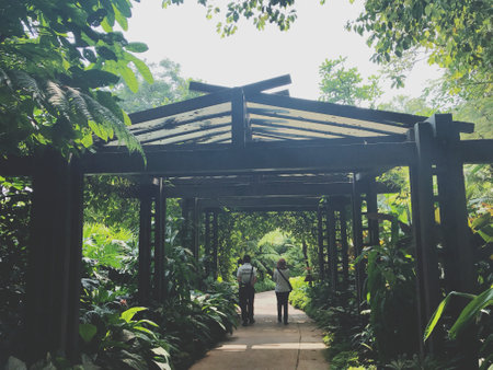 Couple in love walking in the park. couple in loveの写真素材