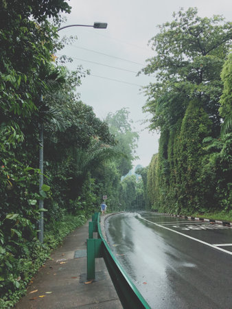 Road in the rain, Thailand. ( Filtered image processed vintage effect. )の写真素材