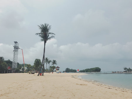 Beach with palm trees and lifeguard tower in Pattaya, Thailandの写真素材