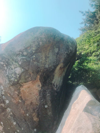 big rock in the forest with blue sky and white clouds background.