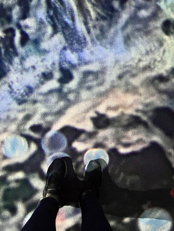 Feet in black shoes on a background of the night sky.