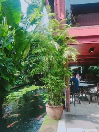 Luxury restaurant in tropical garden with palm trees and fish.の写真素材