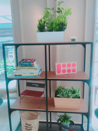 Shelves with books and plants in the interior of the living room