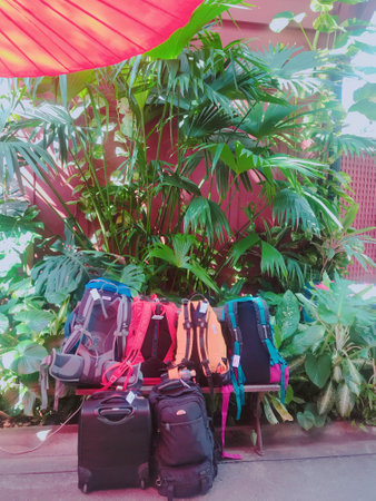Set of sport shoes and bag on the table in the garden.の写真素材