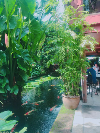 Tropical garden with small pond, palm trees, flowers and plantsの写真素材
