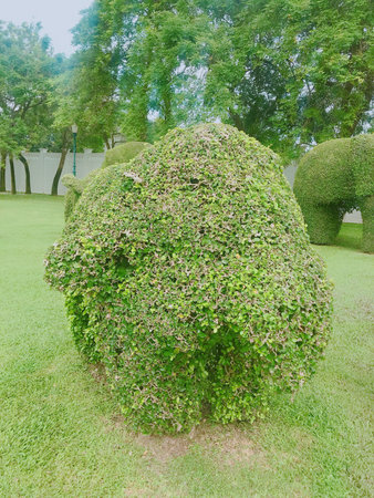 Green trees and bushes in the garden, closeup of photo.の写真素材