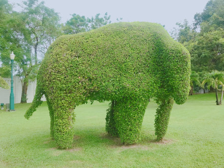 Elephant made from green leaves in the park, Thailand.の写真素材