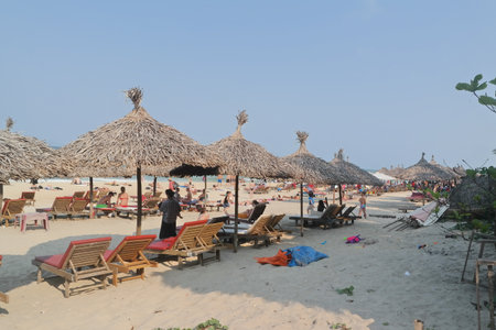 Beach umbrellas and sun loungers on the beachの写真素材