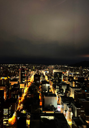 Night view of the city of Tokyo from the observation deck of the buildingの写真素材