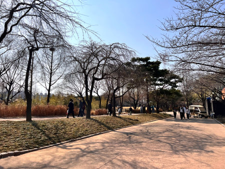 Unidentified people walking on the park.の写真素材