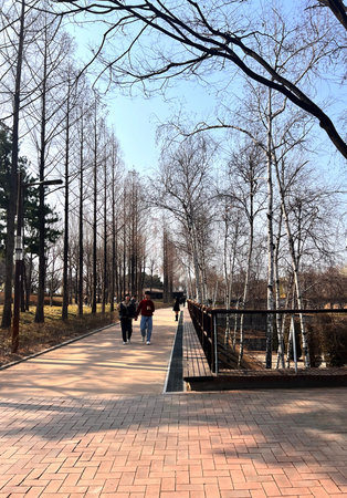 People walk on the pedestrian bridge in the park in early spring.