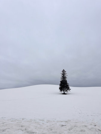Clock tower in the city of Hakodate, Hokkaido, Japanの写真素材