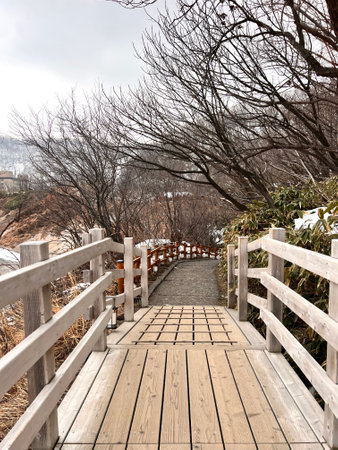 wooden walkway in the park in winter, closeup of photoの写真素材