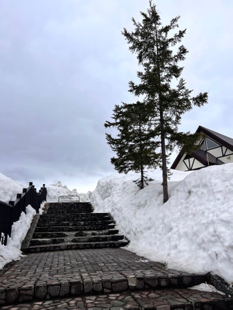 Snowy stairs leading to the top of the mountain in winter.の写真素材