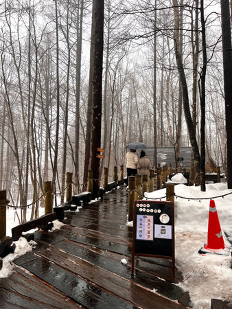 Unidentified people visit the Hiroshima shrine in winter. Hiroshima shrine is one of the most important pilgrimage sites in Japan.の写真素材