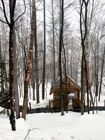 Wooden house in the forest in winter. Russia, Chelyabinskの写真素材