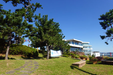 Pine tree and house at the seaside in Sochi, Russiaの写真素材