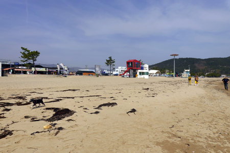 Beach in the city of Nha Trang, Vietnam.の写真素材