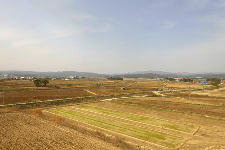 rural landscape in South Korea,Gyeongbokgungの写真素材