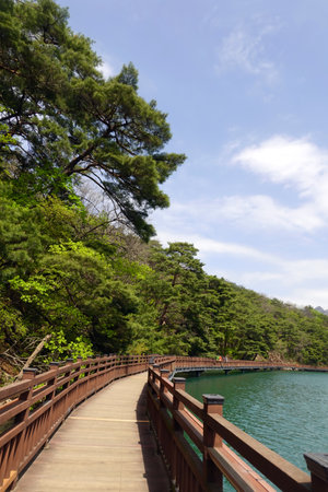 Wooden walkway to the lake in the park, Thailand.の写真素材