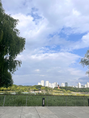 landscape view of a park with green trees and buildings under blue skyの写真素材