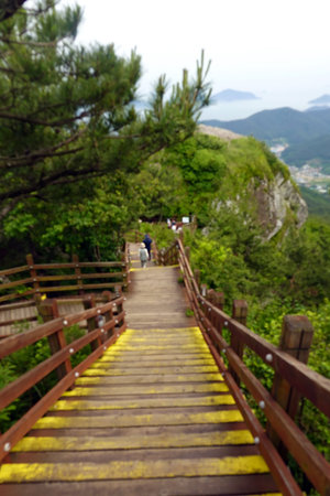 Wooden walkway to the top of the mountain in the summerの写真素材