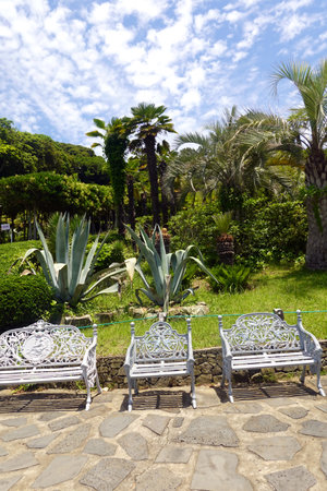 Beautiful garden with white chairs and cactuses on a sunny dayの写真素材