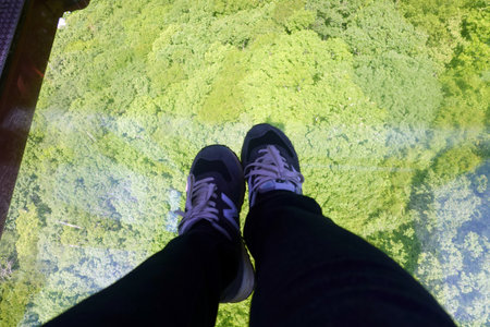 Selfie of sneakers on a background of green grass. View from above.の写真素材