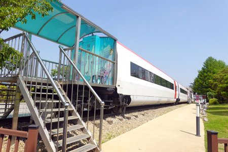 The modern high speed train in the public park on a summer day.