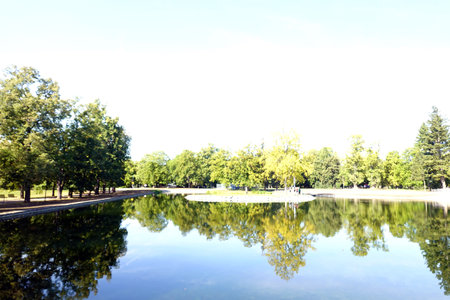 Park with reflection of trees in the water, closeup of photoの写真素材