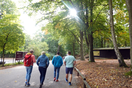Group of people walking in the park in autumn. Rear view.の写真素材