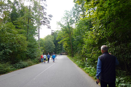 A group of people is walking along the path in the park.の写真素材